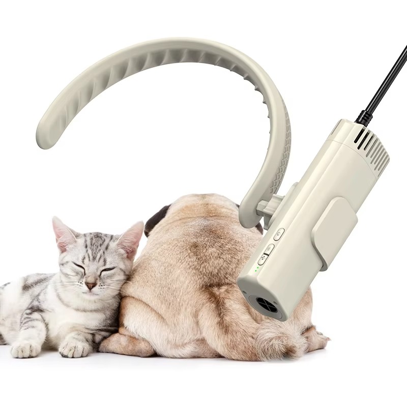 Asciugacapelli per Animali Dom - High Speed Hair Dryer Brushless 110000Rpm recensione e prezzo