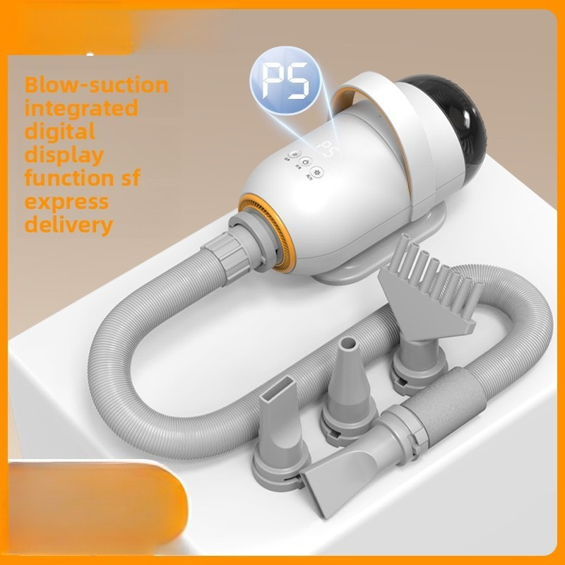 Asciugacapelli Multifunzione p - Hair Blow Dryer Low Noise Powerful recensione e prezzo