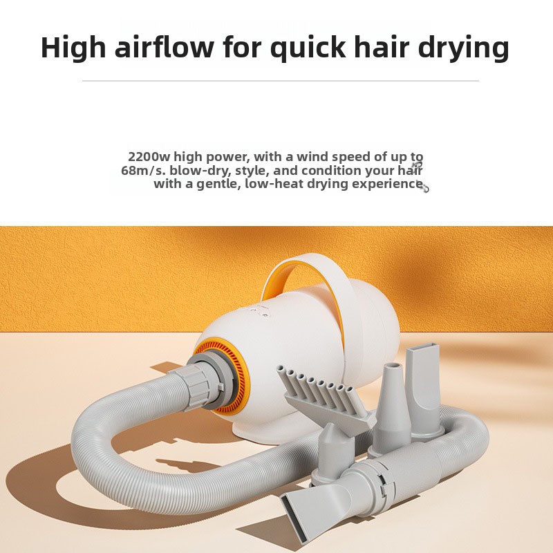 Asciugacapelli Multifunzione p - Hair Blow Dryer Low Noise Powerful recensione e prezzo