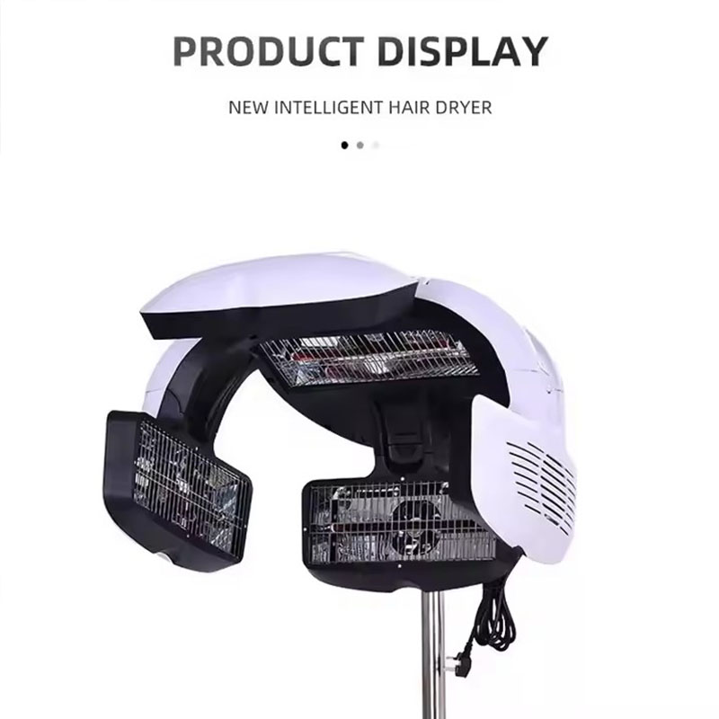 Processore Professionale per C - Hair Salon Hood Dryer Professional recensione e prezzo