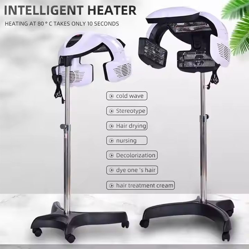 Processore Professionale per C - Hair Salon Hood Dryer Professional recensione e prezzo