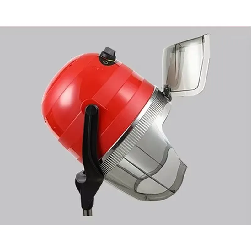 Asciugacapelli Professionale V - Hair Salon Hood Dryer Professional recensione e prezzo