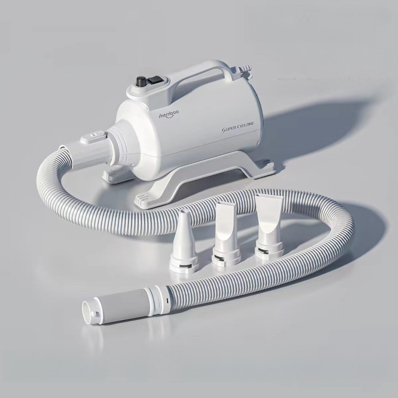 Asciugatori ad alta potenza pe - Hair Blow Dryer Low Noise Powerful recensione e prezzo