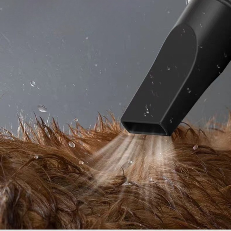 Asciugatori ad alta potenza pe - Hair Blow Dryer Low Noise Powerful recensione e prezzo