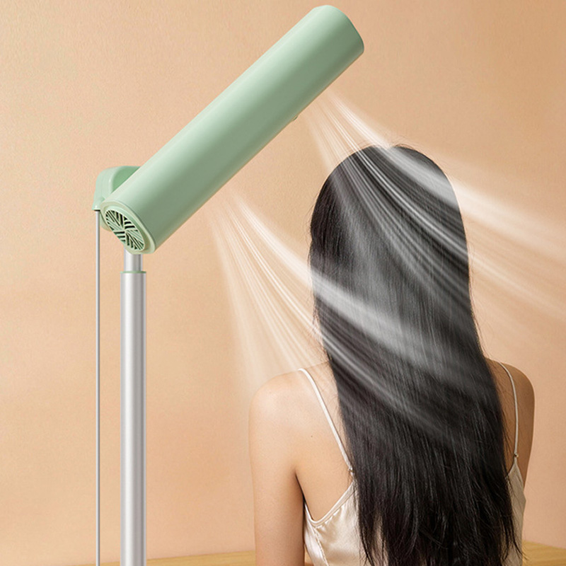 Asciugacapelli verticale a ion - Hair Dryer Stand Hands Free Floor recensione e prezzo